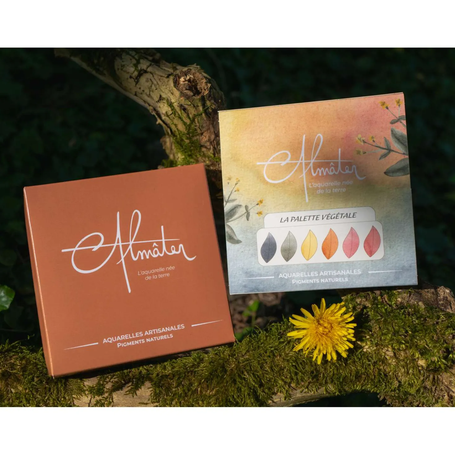 ALMATER Aquarellset mit 6 handgemachte Aquarellfarben