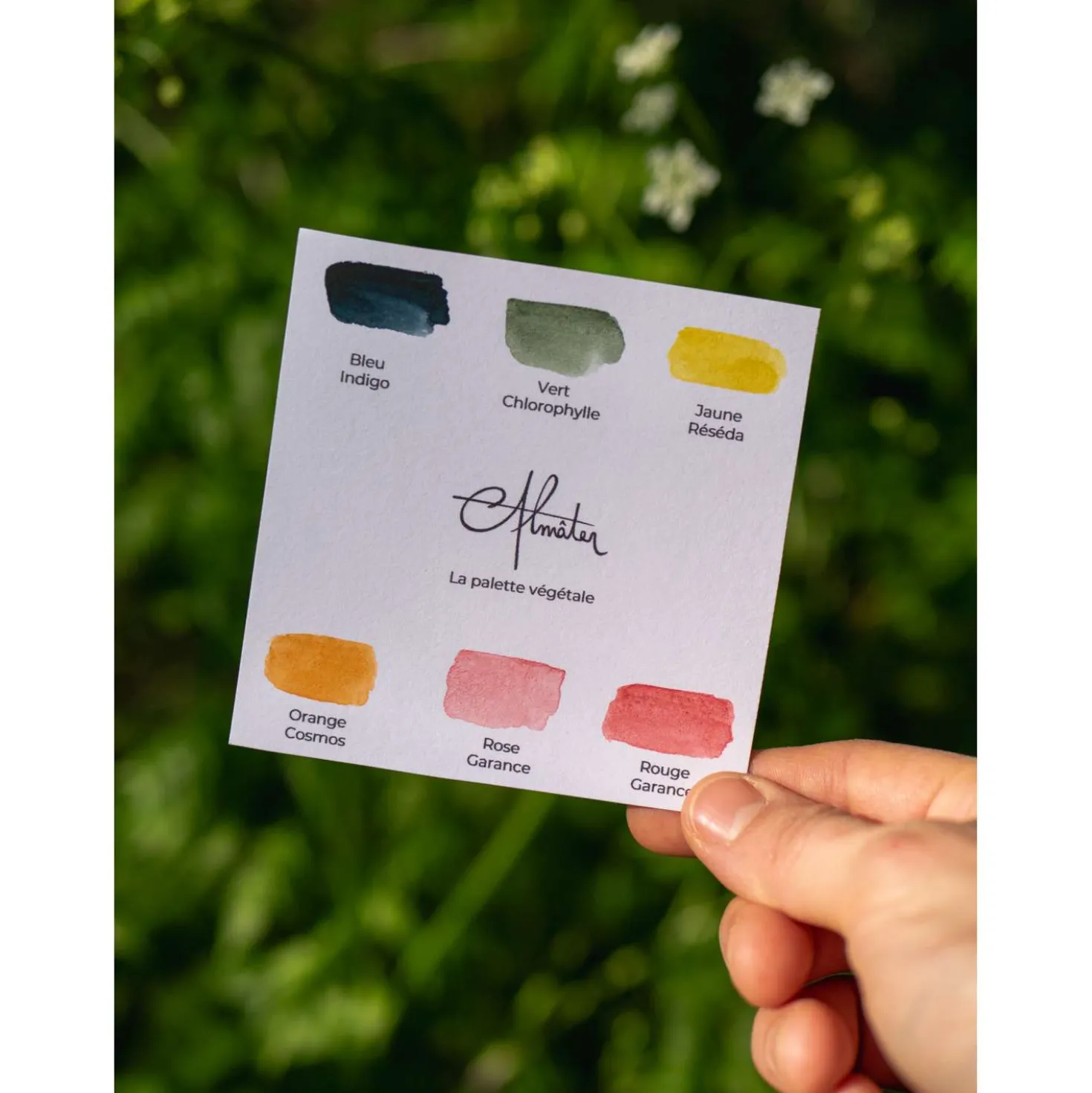 ALMATER Aquarellset mit 6 handgemachte Aquarellfarben