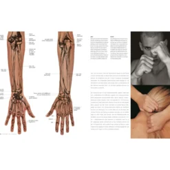 Anatomie für Künstler