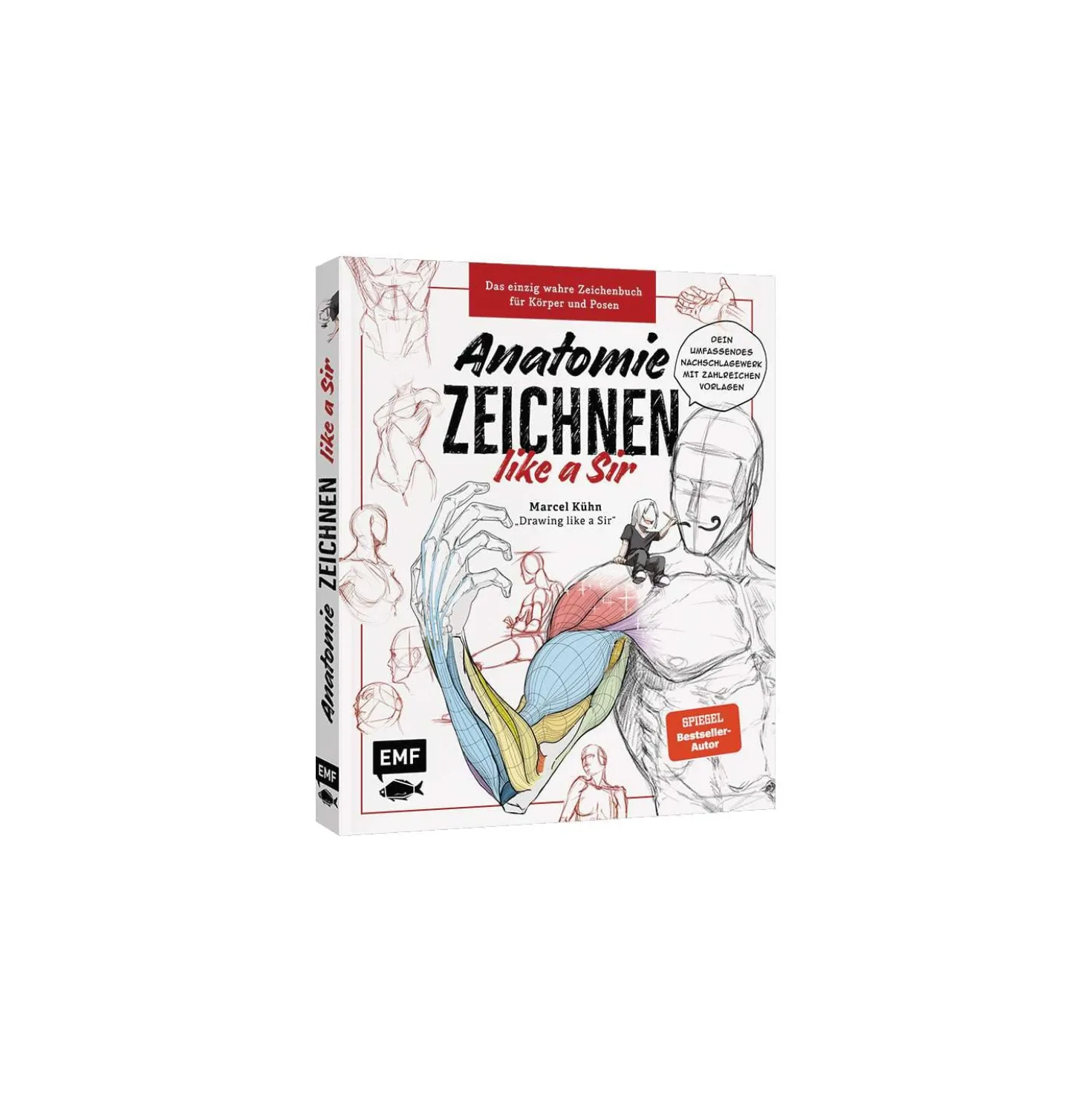 Anatomie ZEICHNEN like a Sir