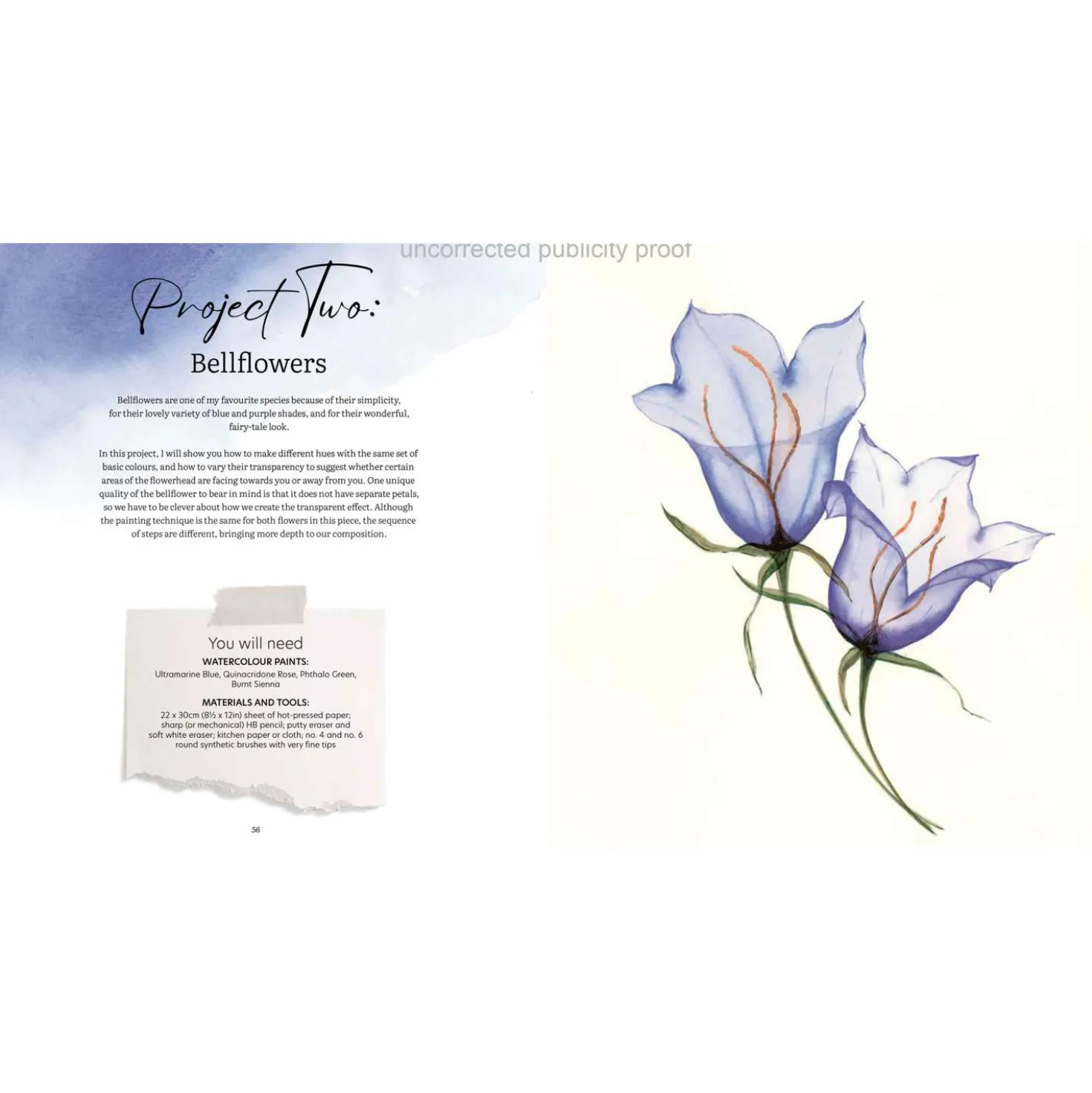 Aquarell trifft Blütenpoesie