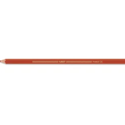 BIC® Color Up! Farbstifte Set