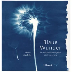 Blaue Wunder - Techniken und Projekte mit Cyanotypie