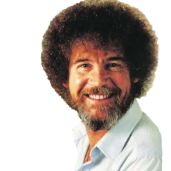 BOB ROSS®3-Stunden Workshop, DVD