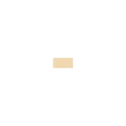 CANSON® Ingres Vidalon® Bogenware