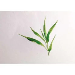 Clairefontaine BAMBOO Aquarellpapier