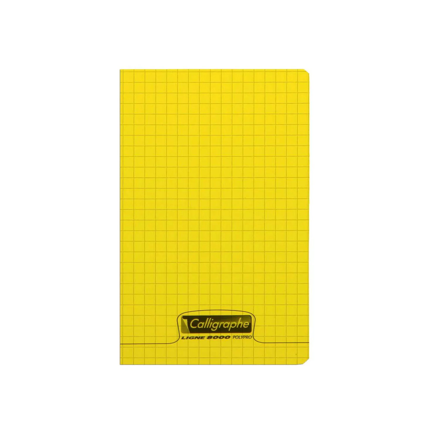 Clairefontaine Calligraphe LINGE 8000 POLYPRO Skizzenheft kariert, 11 × 17 cm, 96 Seiten