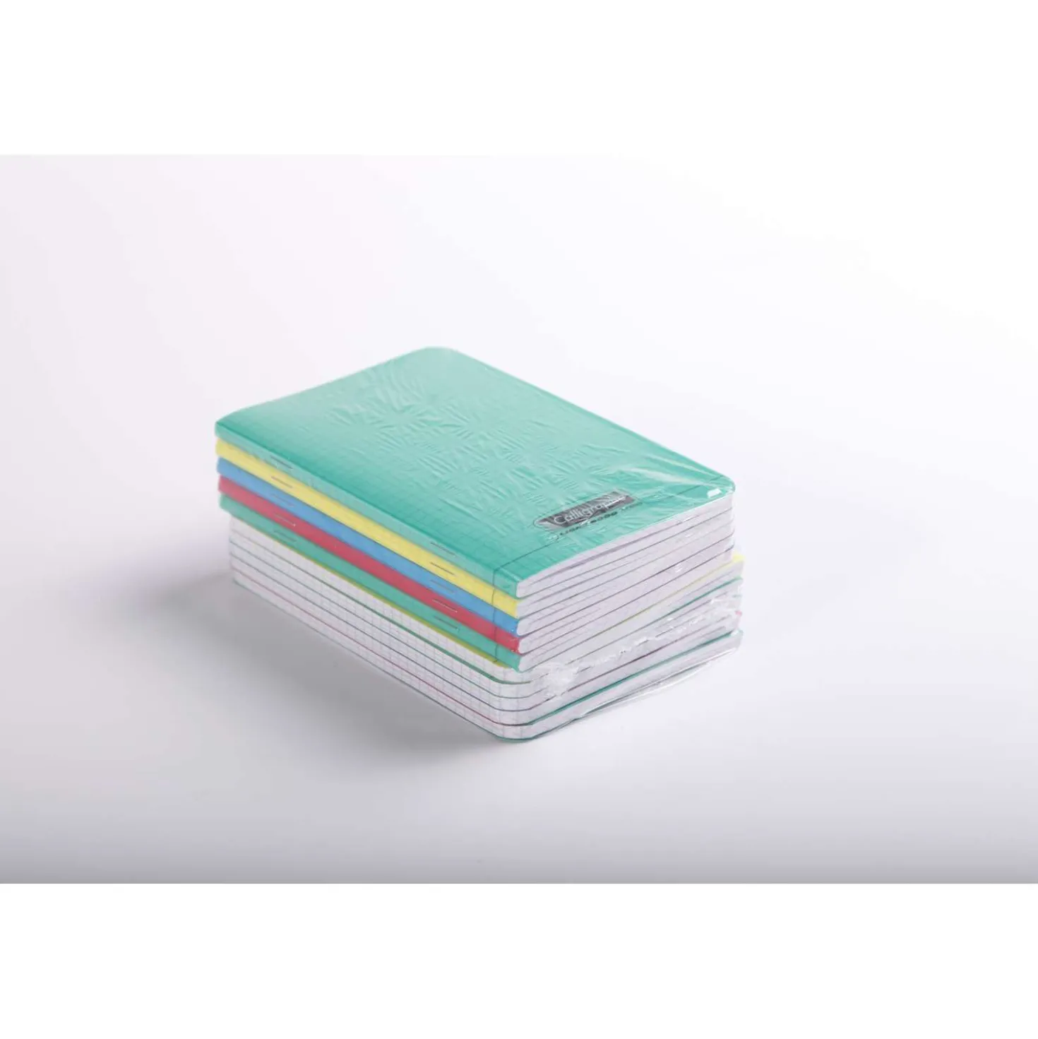 Clairefontaine Calligraphe LINGE 8000 POLYPRO Skizzenheft kariert, 11 × 17 cm, 96 Seiten