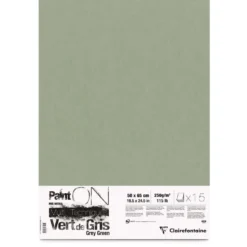 Clairefontaine Paint ON, grüngrau