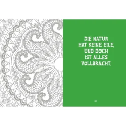 Colorful Mandala – Energie aus der Natur