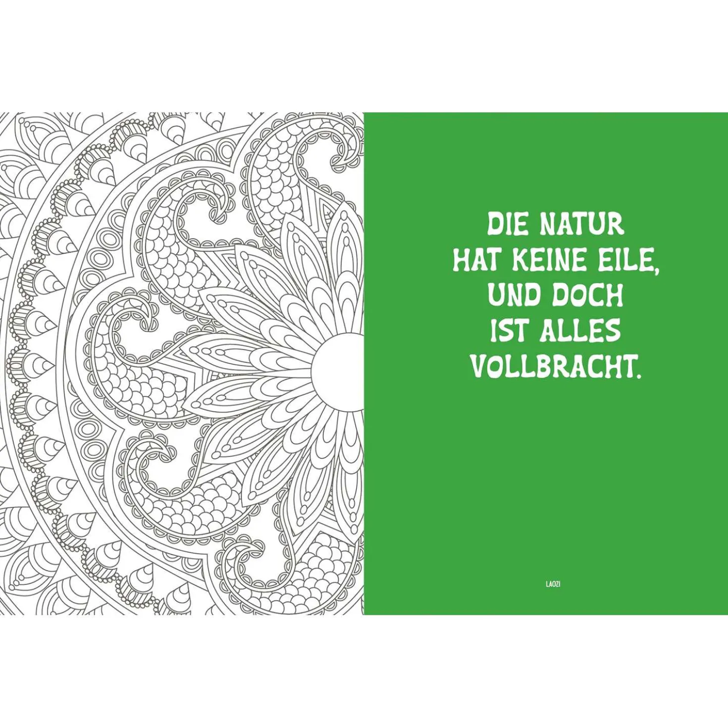 Colorful Mandala – Energie aus der Natur