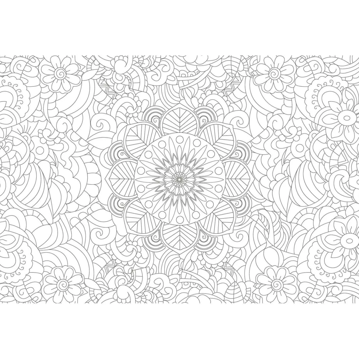 Colorful Mandala – Energie aus der Natur