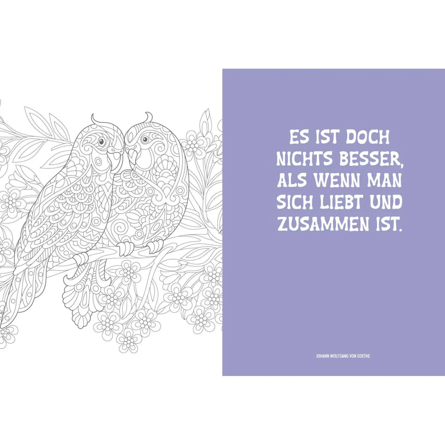 Colorful Mandala – Tierisch verliebt