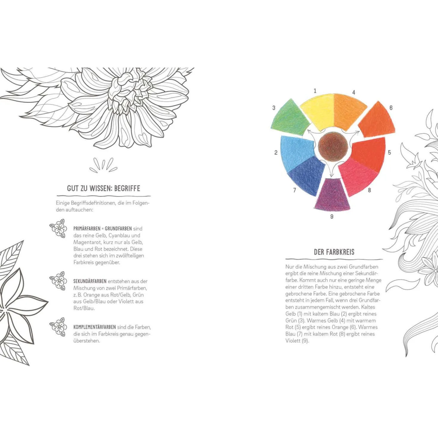 Colorful Mandala – Tropenzauber