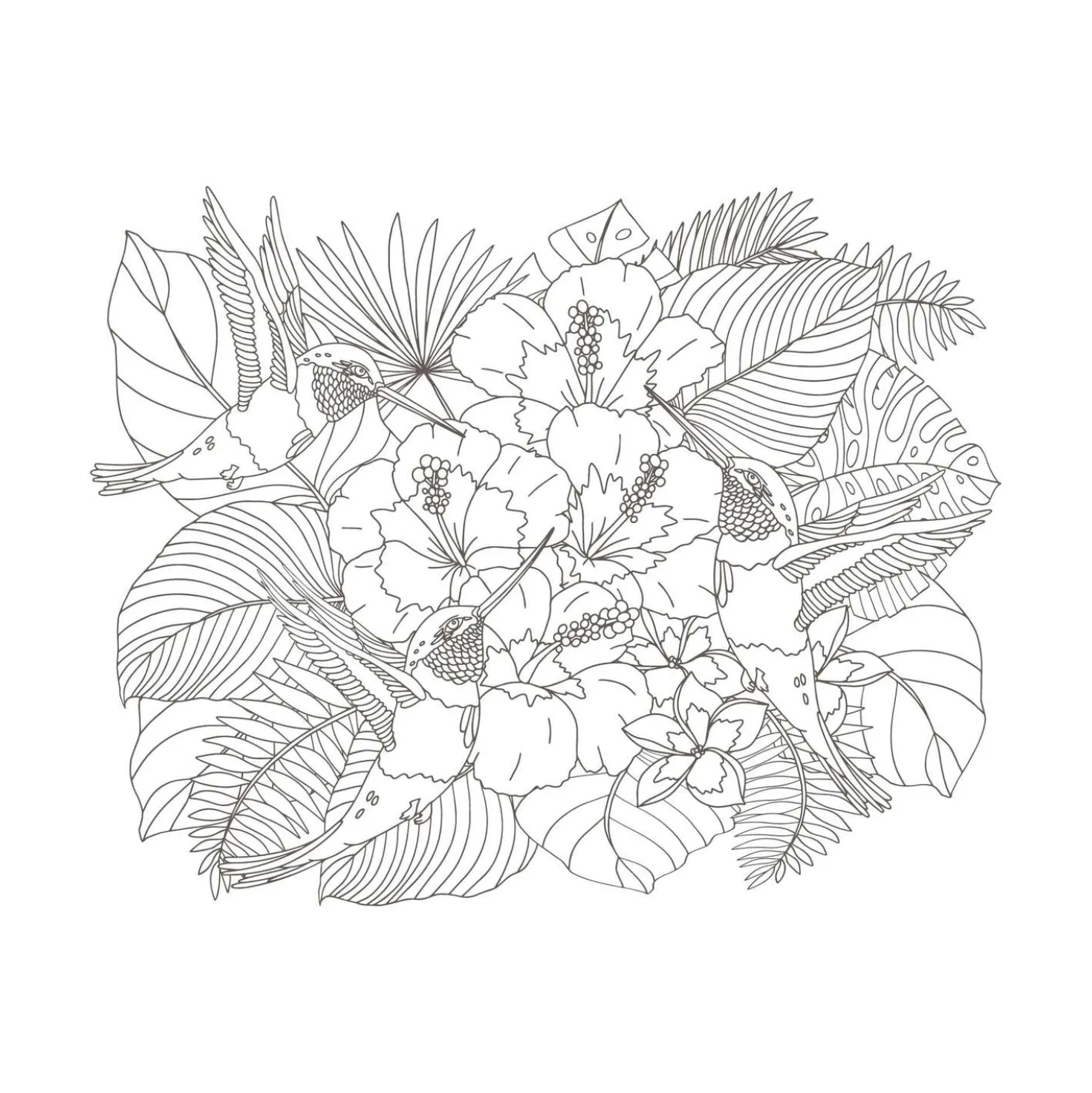 Colorful Mandala – Tropenzauber