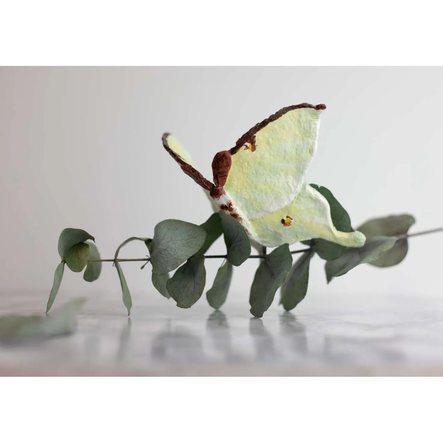 CREARTEC Papiermaché