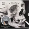 CRETACOLOR® Black & White Box Skull, Limited Edition
