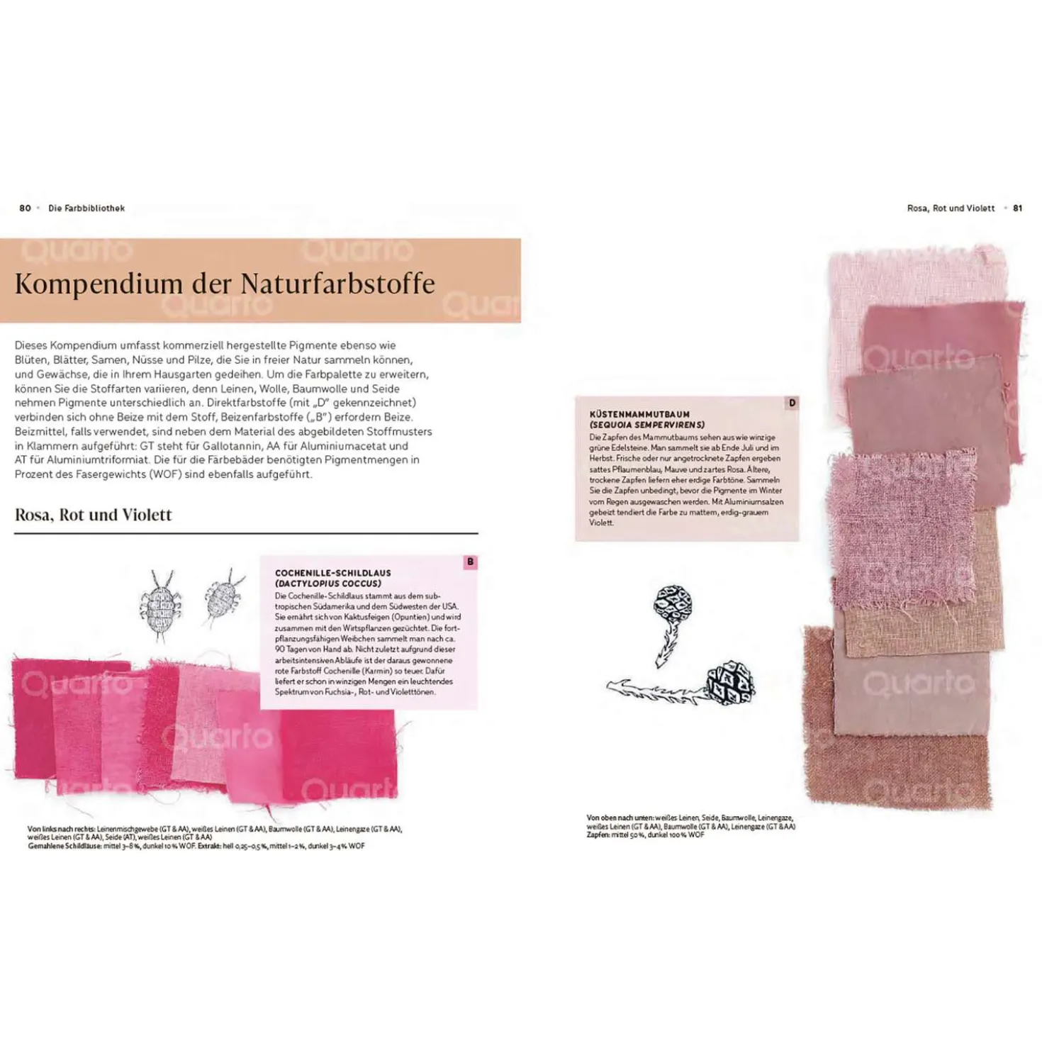 Das Handbuch der Pflanzenfarben