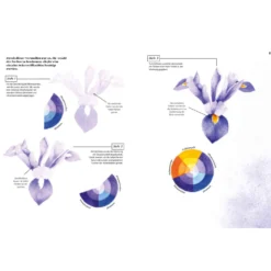 Die Anatomie der Farben