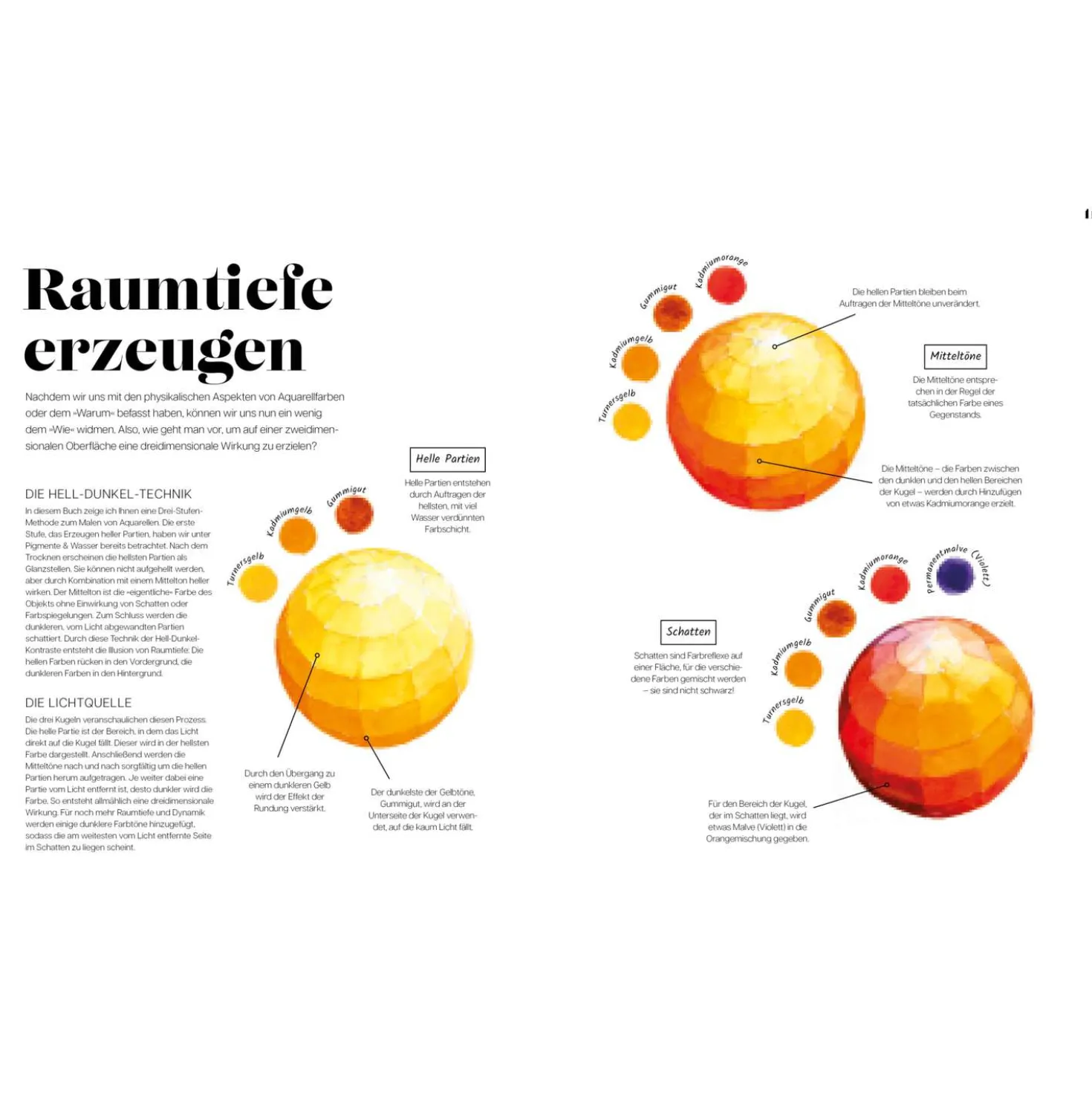 Die Anatomie der Farben