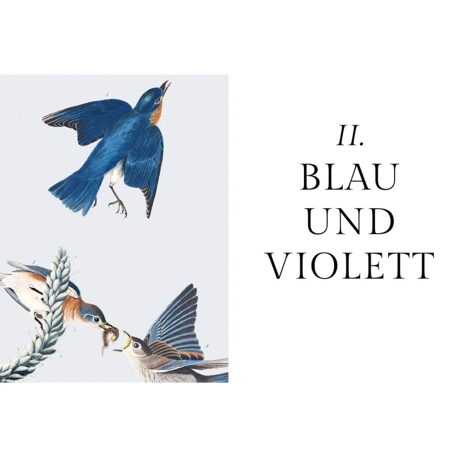 Die Farben der Natur