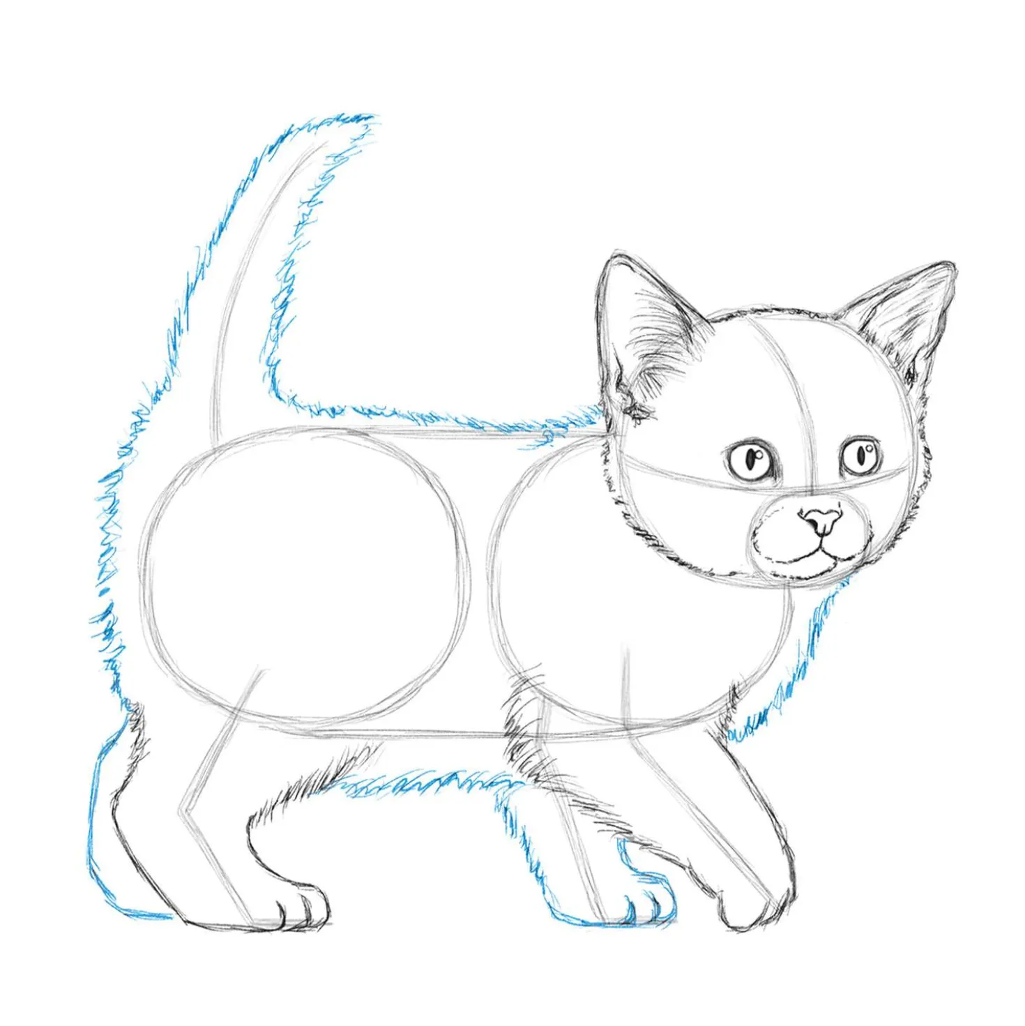 Die Kunst des Zeichnens für Kinder - Ich zeichne Katzen