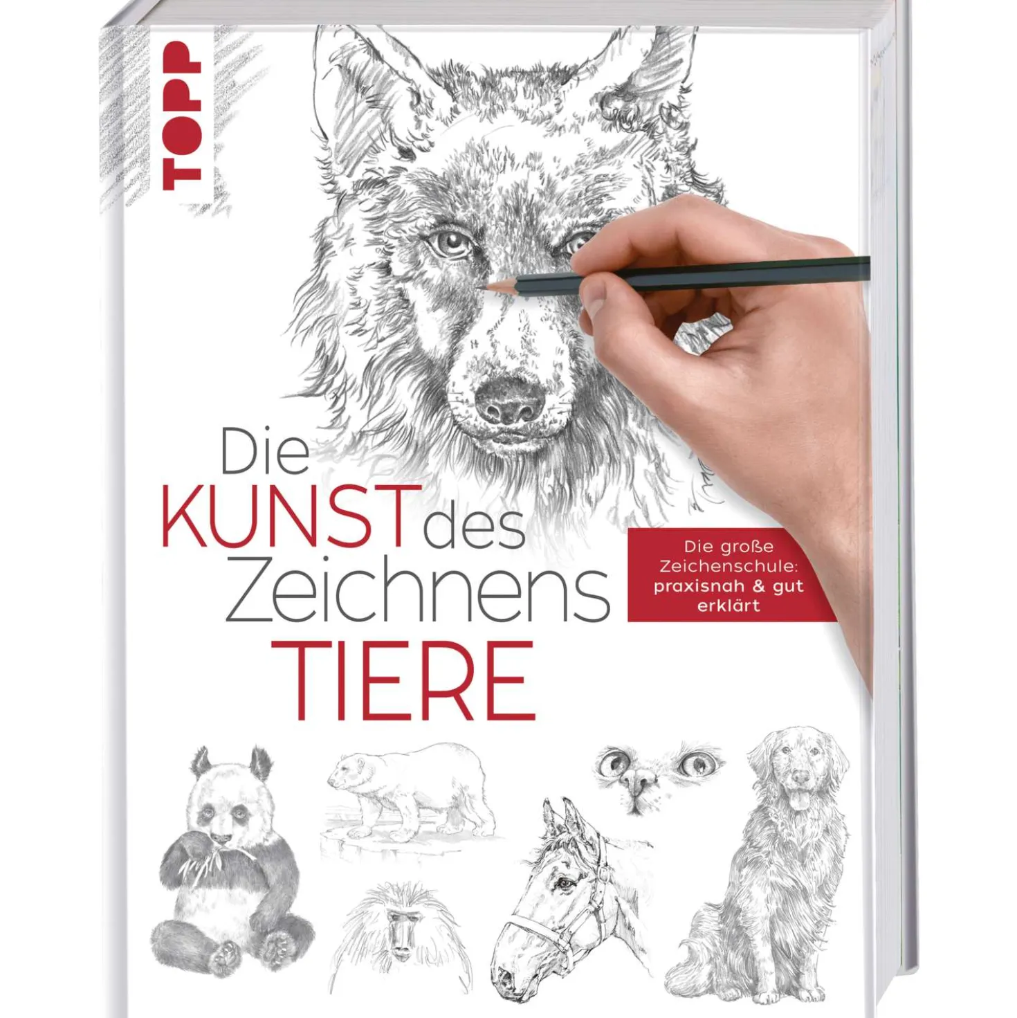 Die Kunst des Zeichnens - Tiere Die große Zeichenschule: praxisnah und gut erklärt