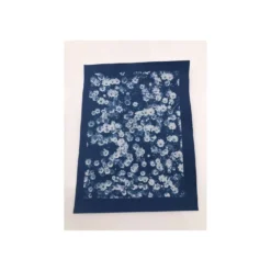 ENJOY ART Cyanotypie Papier