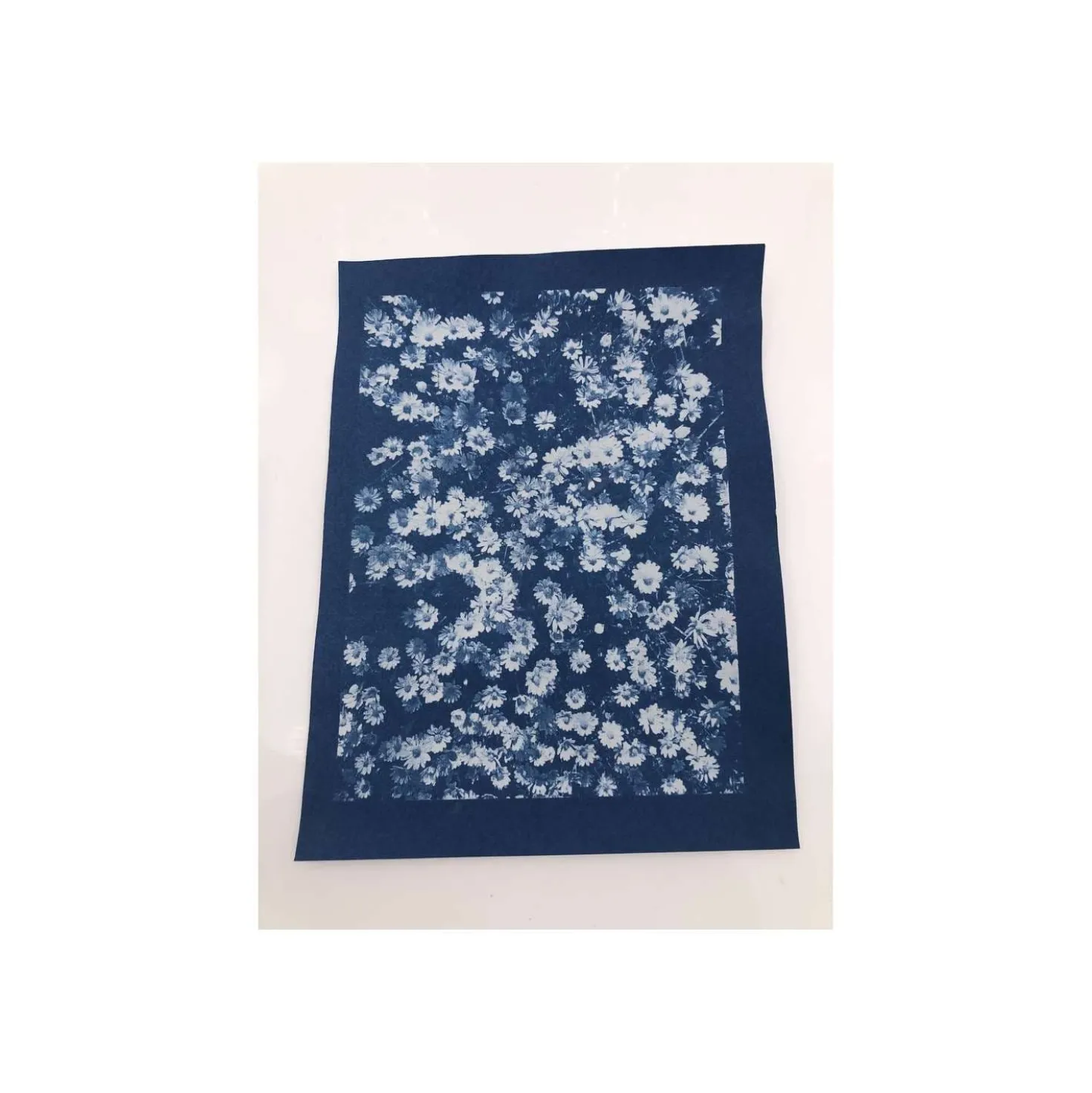 ENJOY ART Cyanotypie Papier