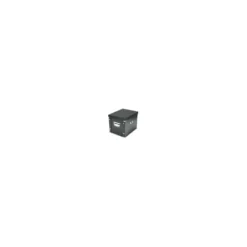 ESSELTE® Click & Store Ablage- und Transportbox