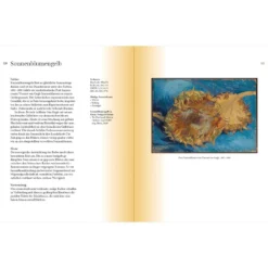 Farbe - Der Guide für Design und Kunst