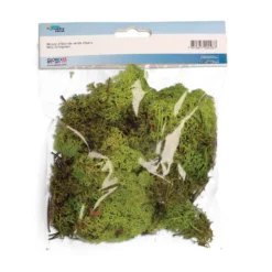 GLOREX Islandmoos