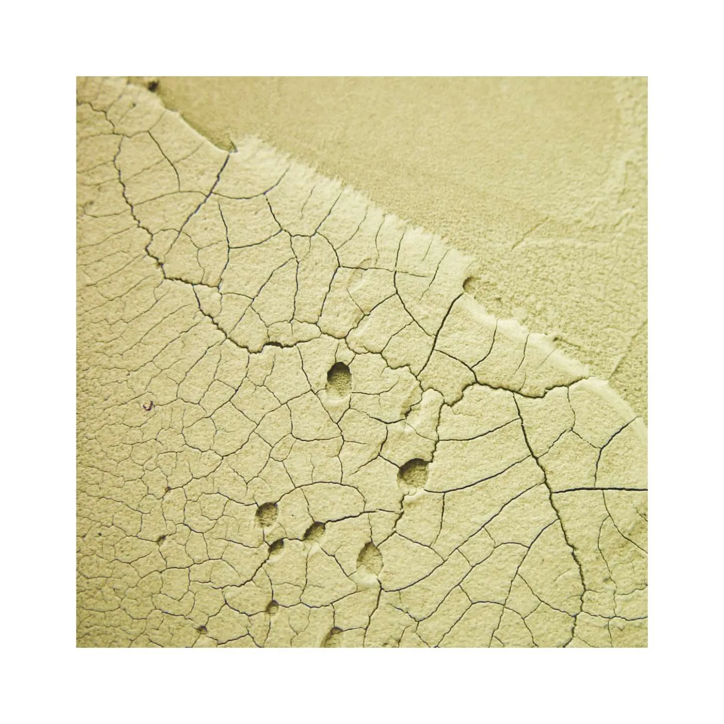 GOLDEN Crackle Paste