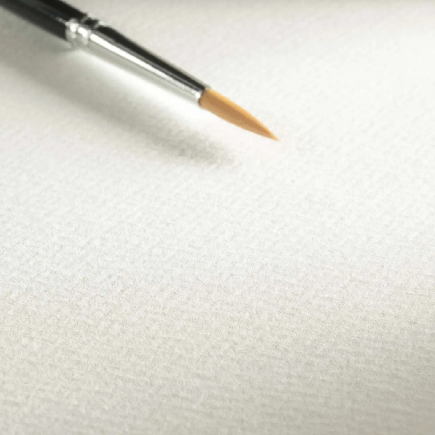 Hahnemühle "Allegretto" Aquarellpapier in Rollen erhalten Sie in unserem Webshop.