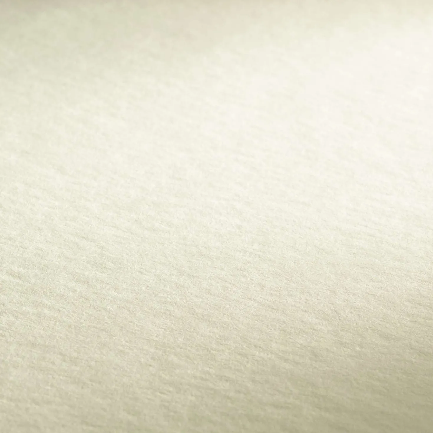 Hahnemühle "Carnet"