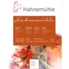 Hahnemühle 300 Echt-Bütten Aquarell-Block