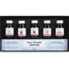 HERBIN Kalligraphie- und Zeichentusche Jahreszeiten-Sets