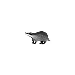 Lavinia Stempel, Badger 2