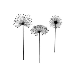 Lavinia Stempel, Dandelions