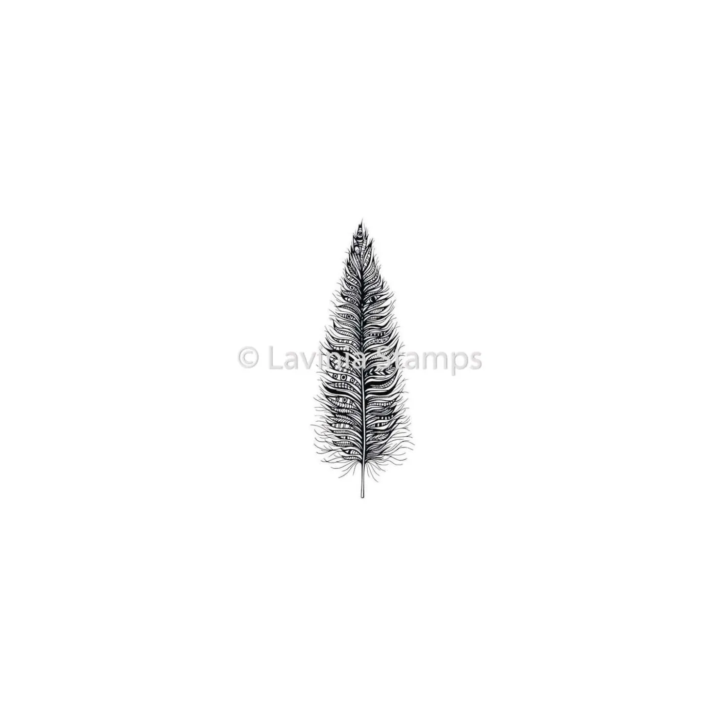 Lavinia Stempel, Feather