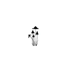 Lavinia Stempel, Slender Mushrooms