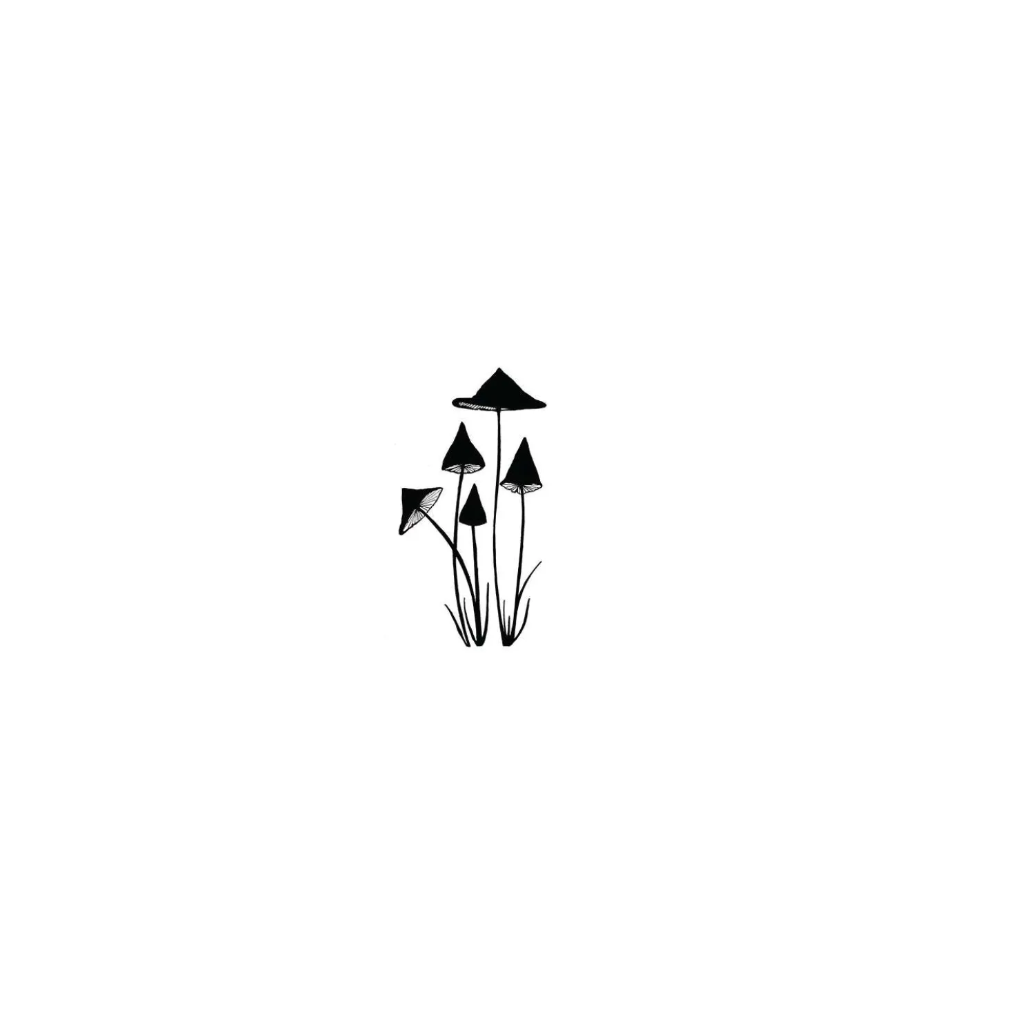 Lavinia Stempel, Slender Mushrooms