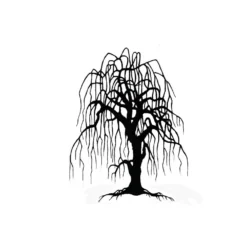 Lavinia Stempel, Weeping Willow Tree