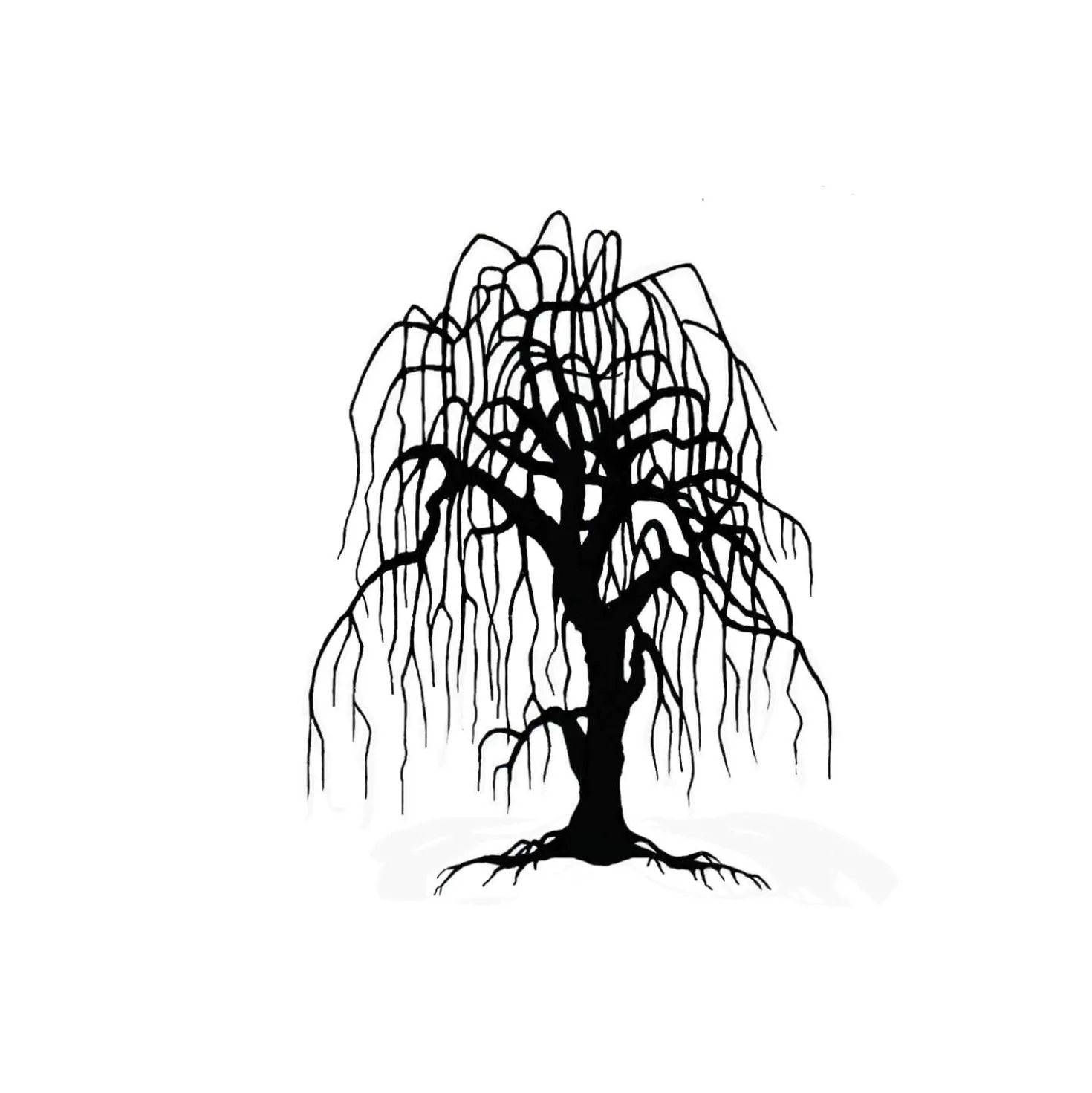 Lavinia Stempel, Weeping Willow Tree