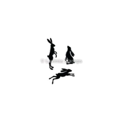 Lavinia Stempel, Whimsical Hares