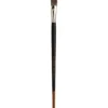 Léonard Flachpinsel Serie 580PL
