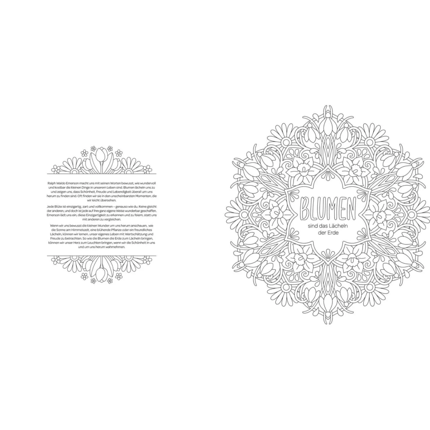 Mandala-Weisheiten