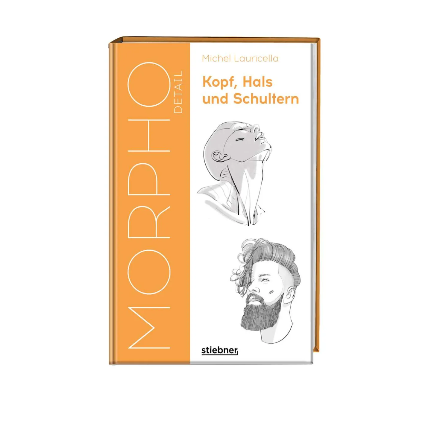 Morpho Detail - Kopf, Hals und Schultern