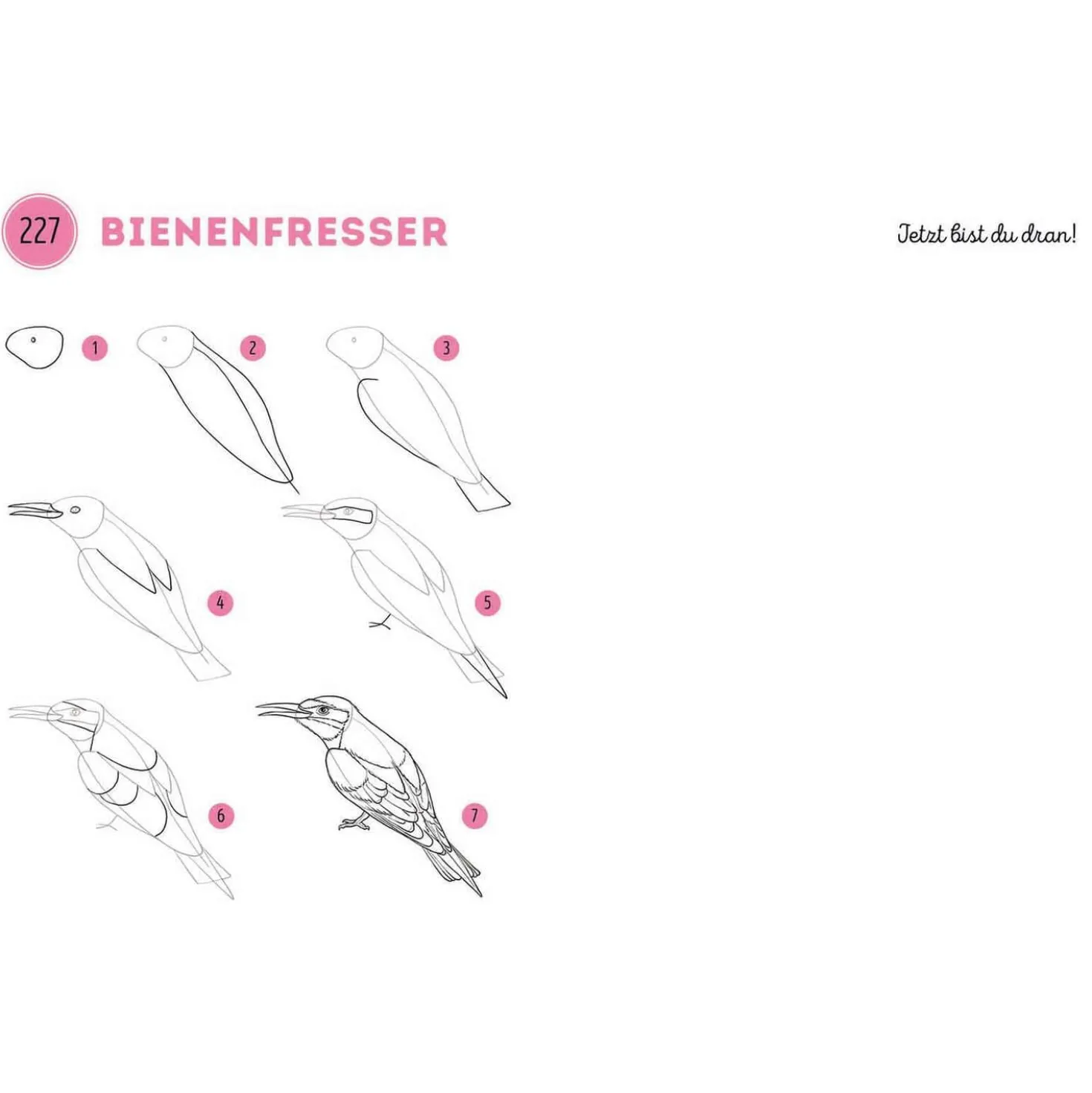 300 Motive zeichnen – Tiere