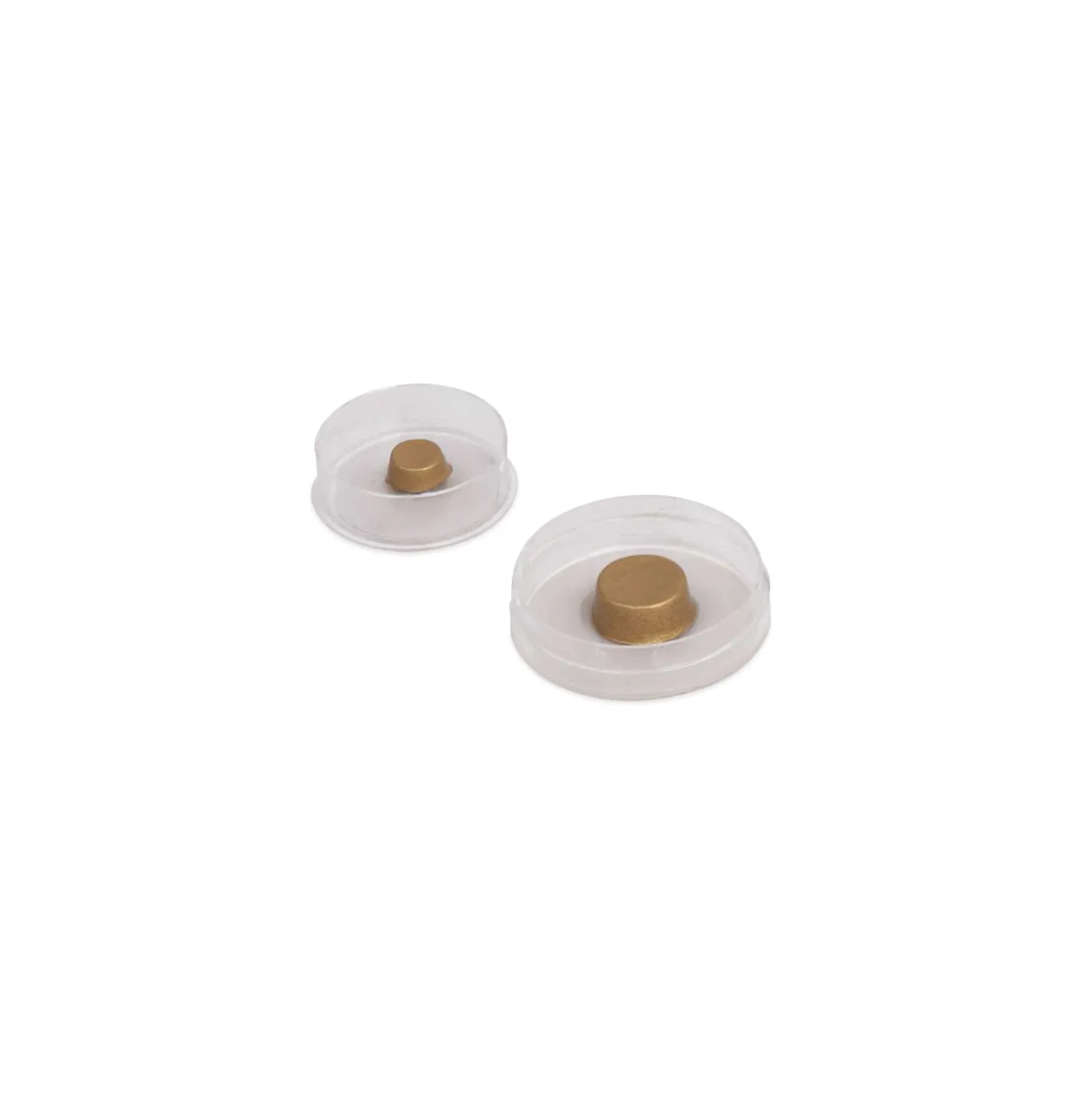 Muschelgold-Echtgold